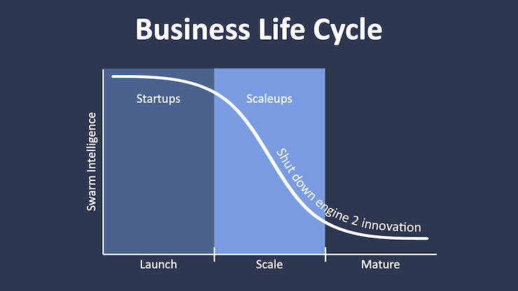 Business Life Cycle