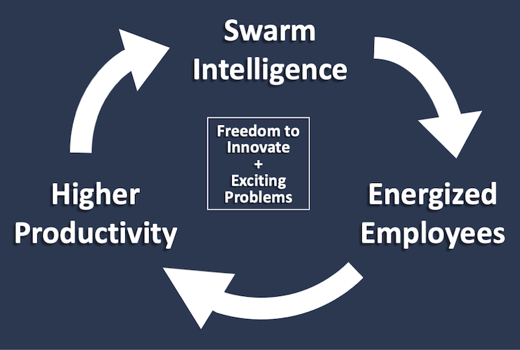 Graphic showing positive feedback loop: Swarm Intelligence ⇒ Energized Employees ⇒ Higher Productivity. Feedback loop is driven by Freedom to Innovate + Exciting Problems.